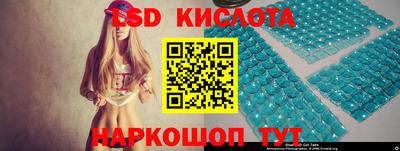 бошки Кингисепп