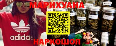 бошки Кингисепп