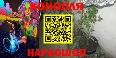 бошки Кингисепп