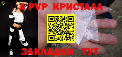 бошки Кингисепп
