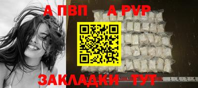 бошки Кингисепп