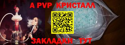 бошки Кингисепп