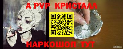 бошки Кингисепп