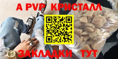 бошки Кингисепп